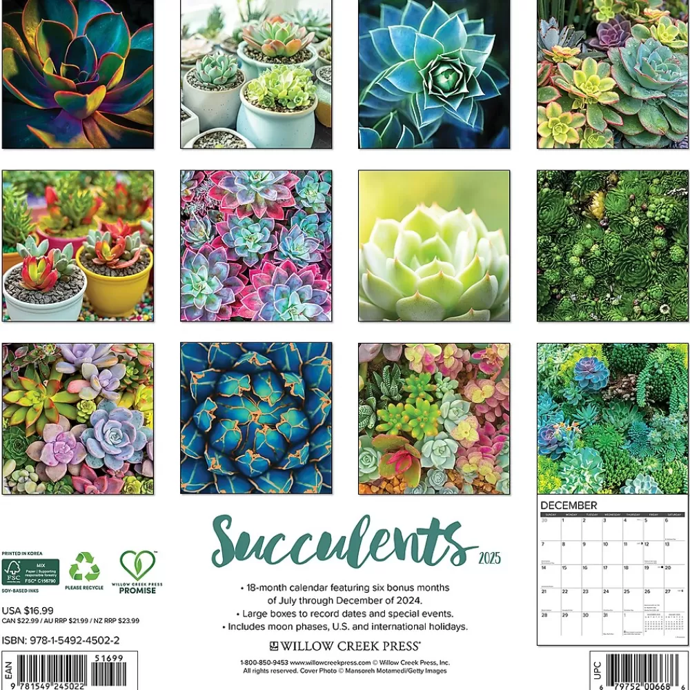 Willow Creek 2025 Calendars<2025 Succulents 12" x 12" Monthly Wall Calendar (45022)