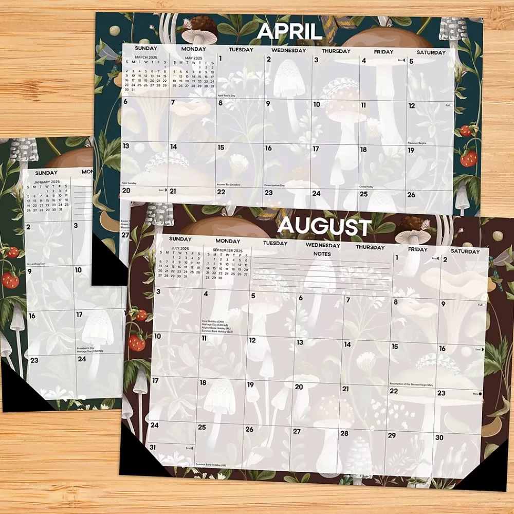 Willow Creek 2025 Calendars<2025 Woodland Mushroom 17" x 12" Monthly Desk Pad Calendar (47866)